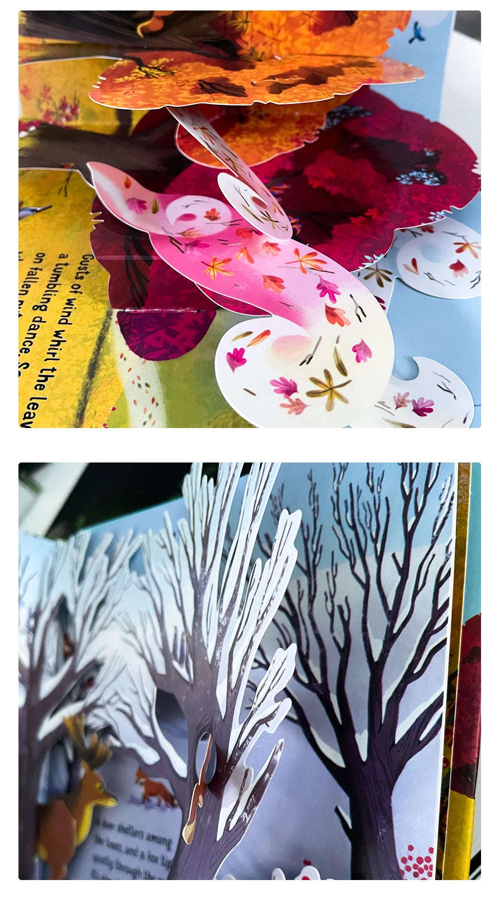 Pop-Up Learning Adventure Books