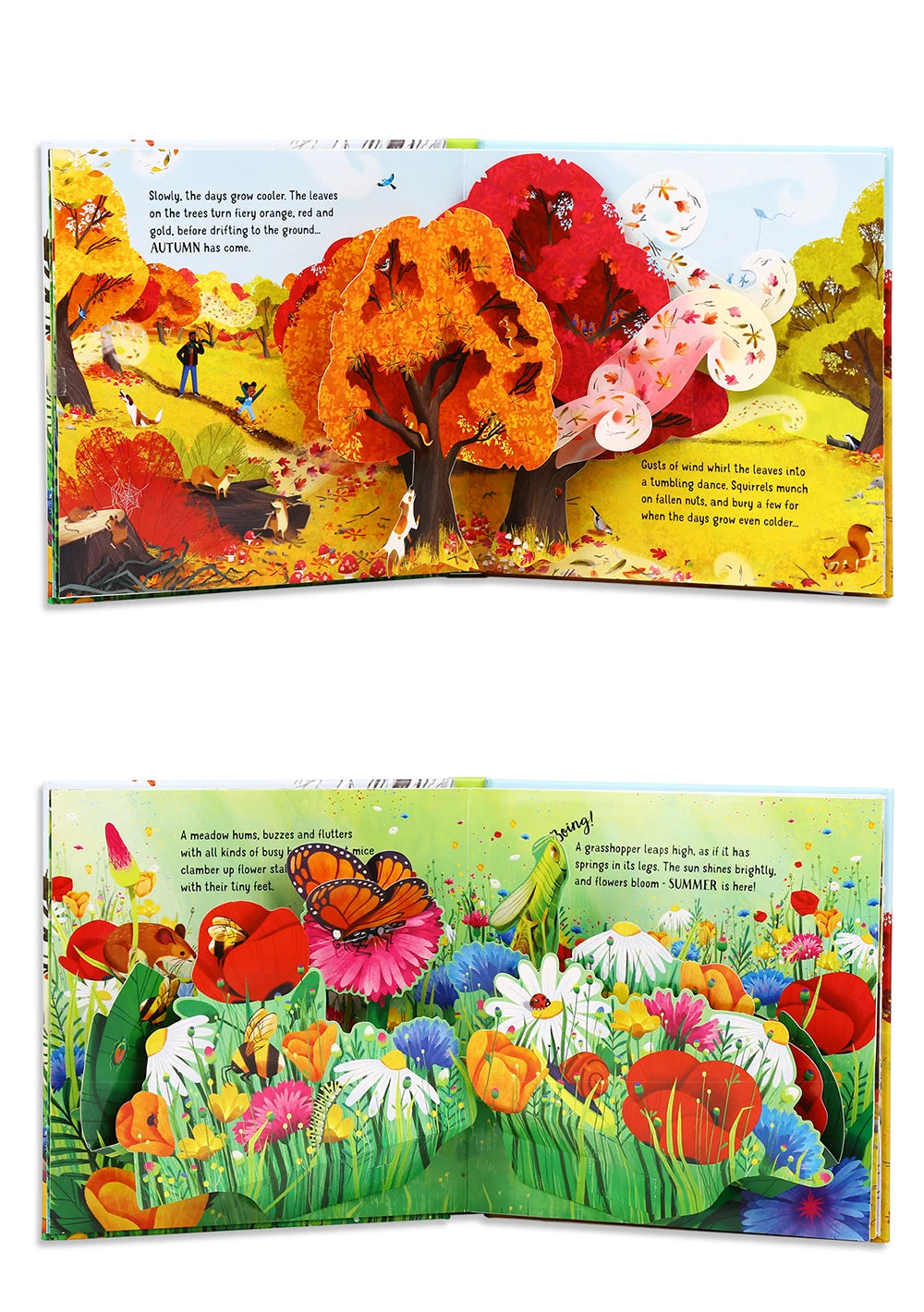 Pop-Up Learning Adventure Books