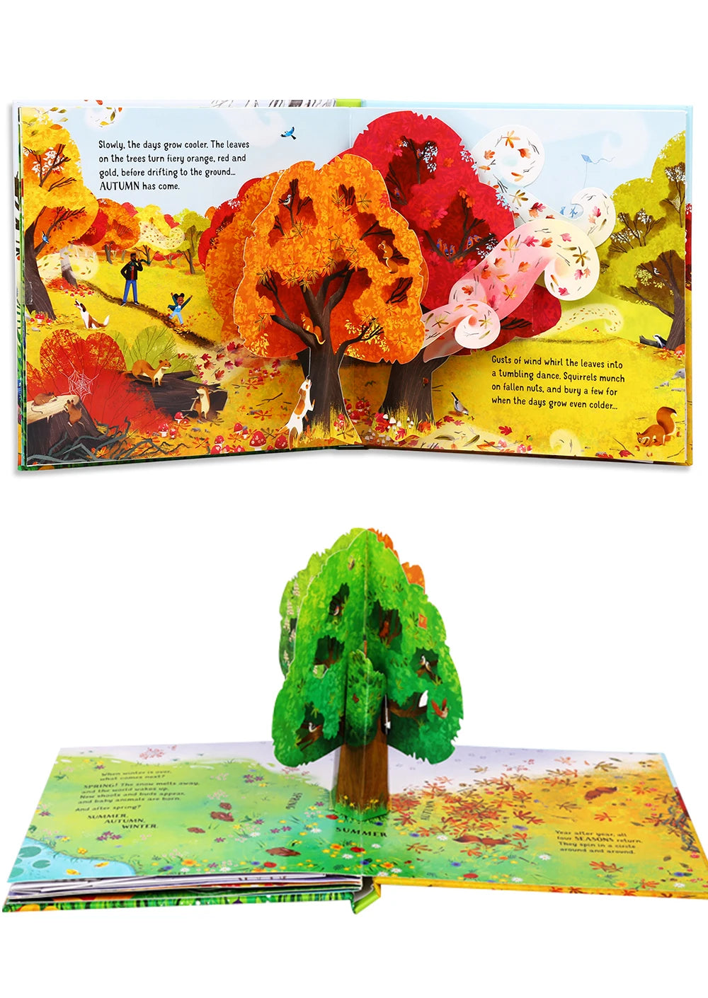 Pop-Up Learning Adventure Books
