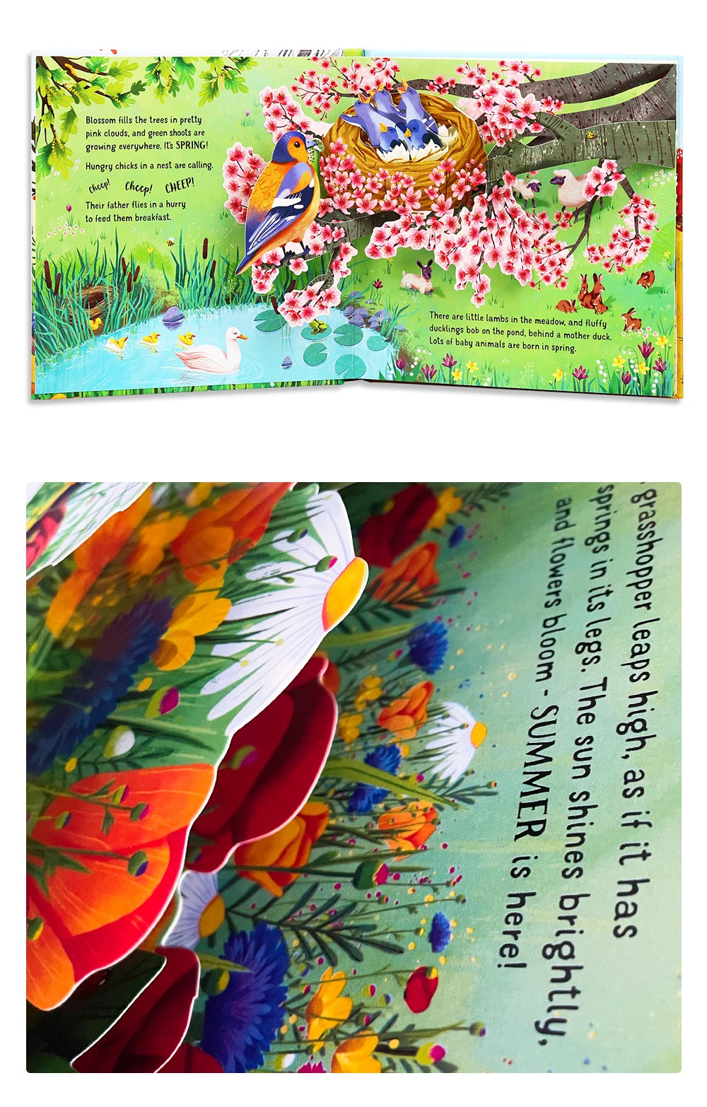 Pop-Up Learning Adventure Books