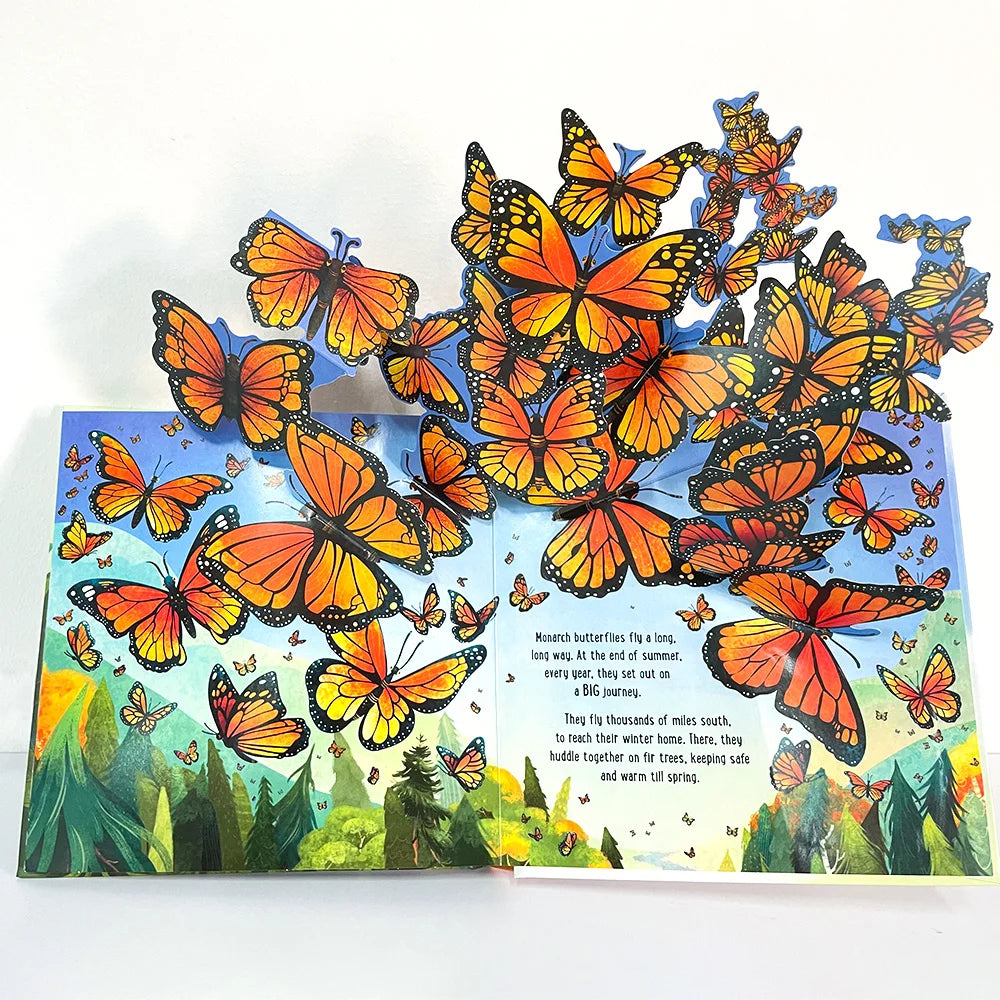 Pop-Up Learning Adventure Books