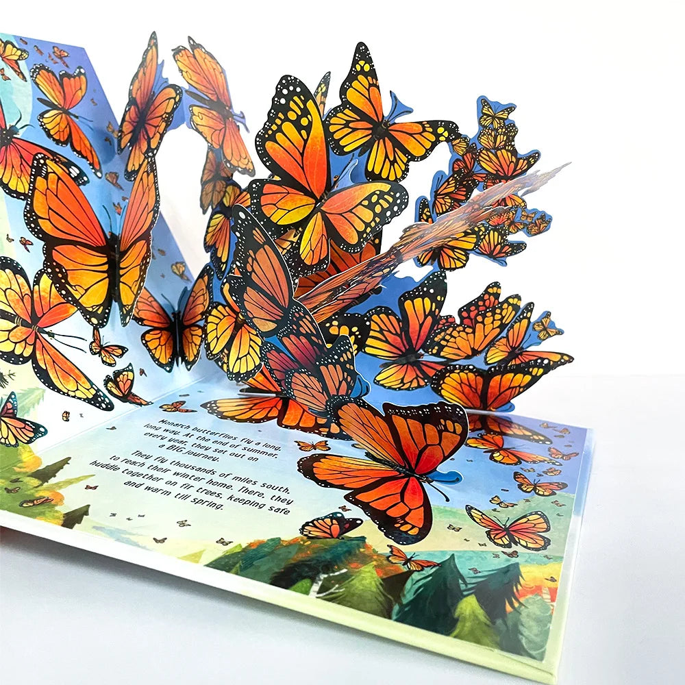 Pop-Up Learning Adventure Books