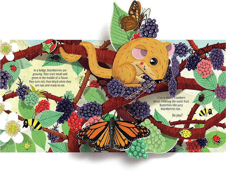 Pop-Up Learning Adventure Books