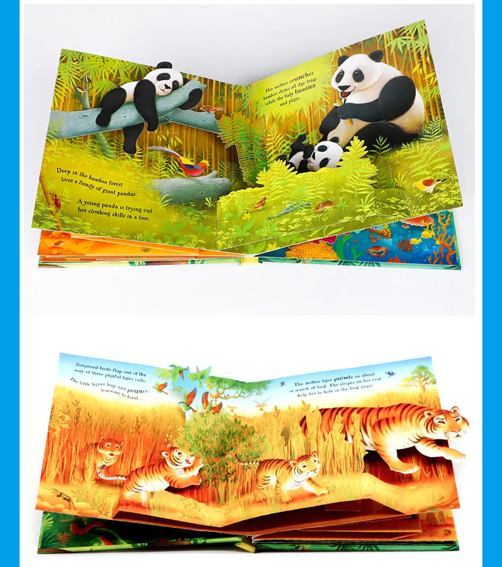 Pop-Up Learning Adventure Books