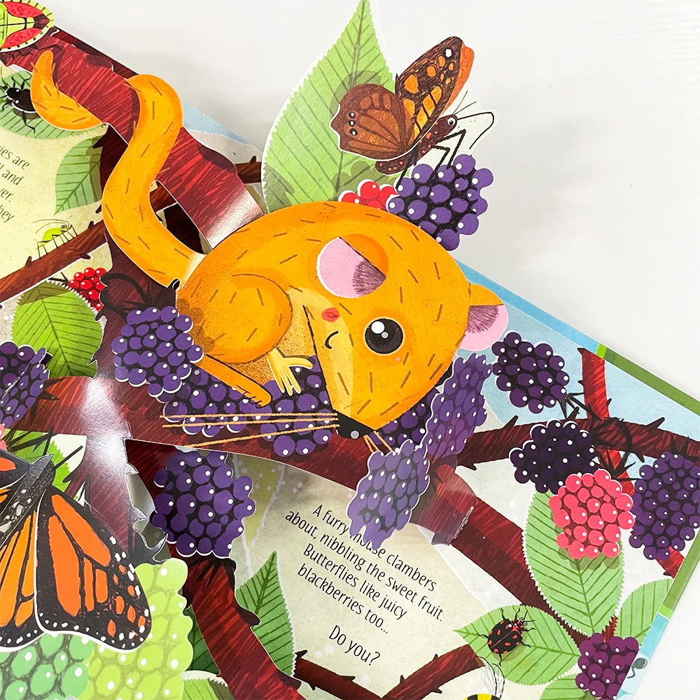 Pop-Up Learning Adventure Books