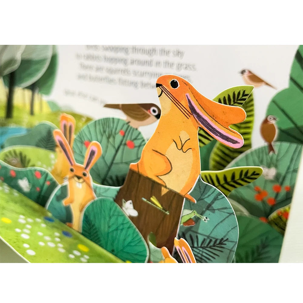 Pop-Up Learning Adventure Books