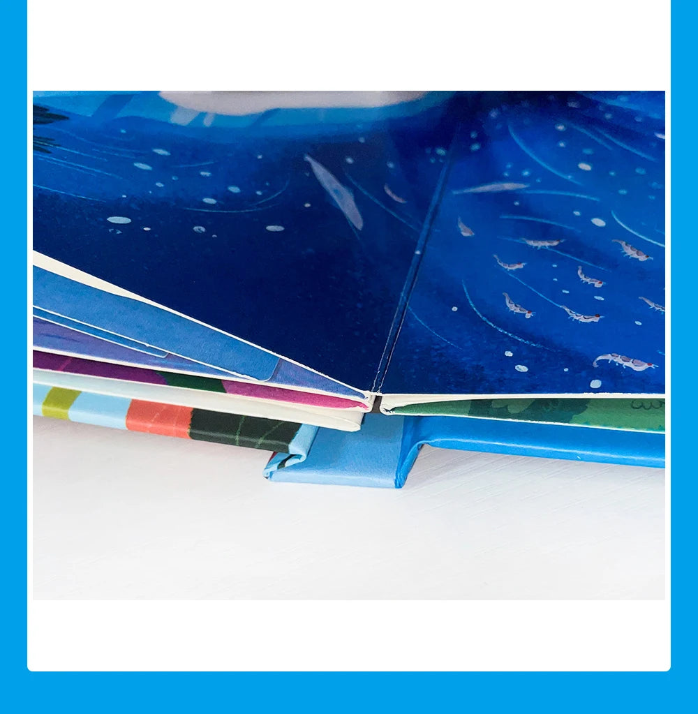 Pop-Up Learning Adventure Books