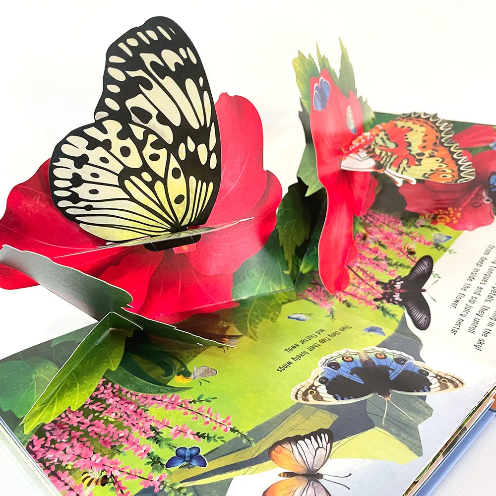 Pop-Up Learning Adventure Books
