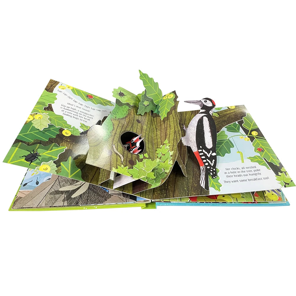 Pop-Up Learning Adventure Books