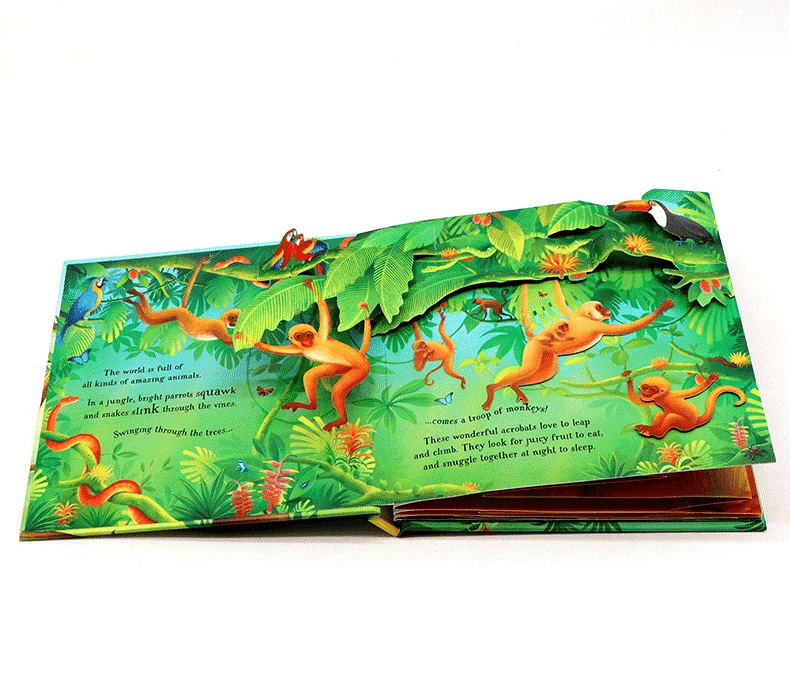Pop-Up Learning Adventure Books