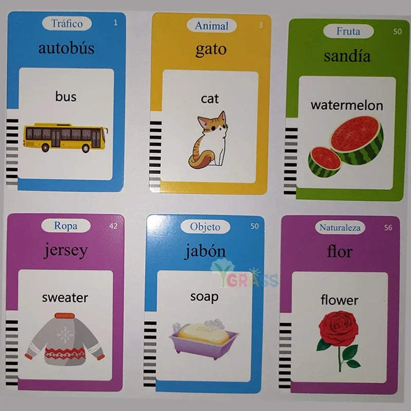 Interactive Language & Learning Flash Cards