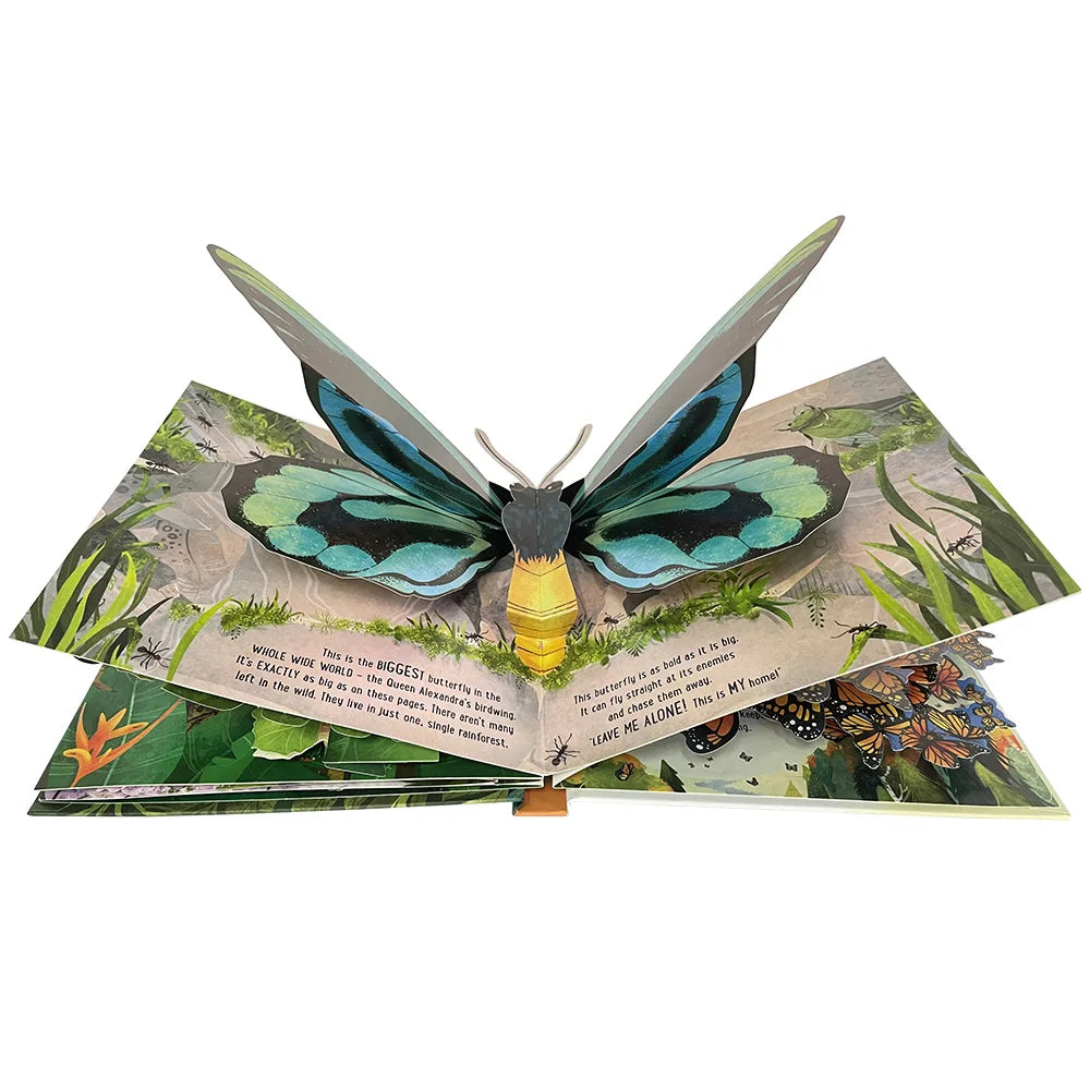 Pop-Up Learning Adventure Books