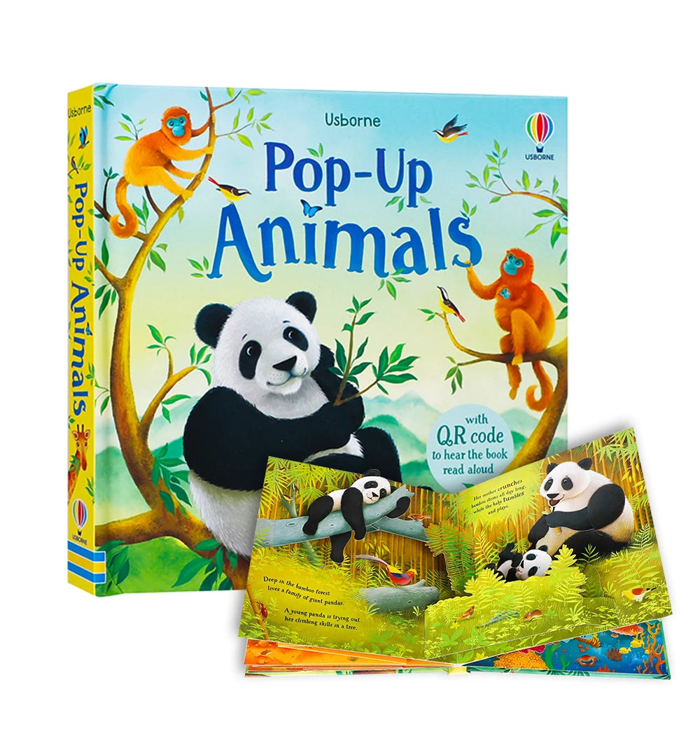 Pop-Up Learning Adventure Books