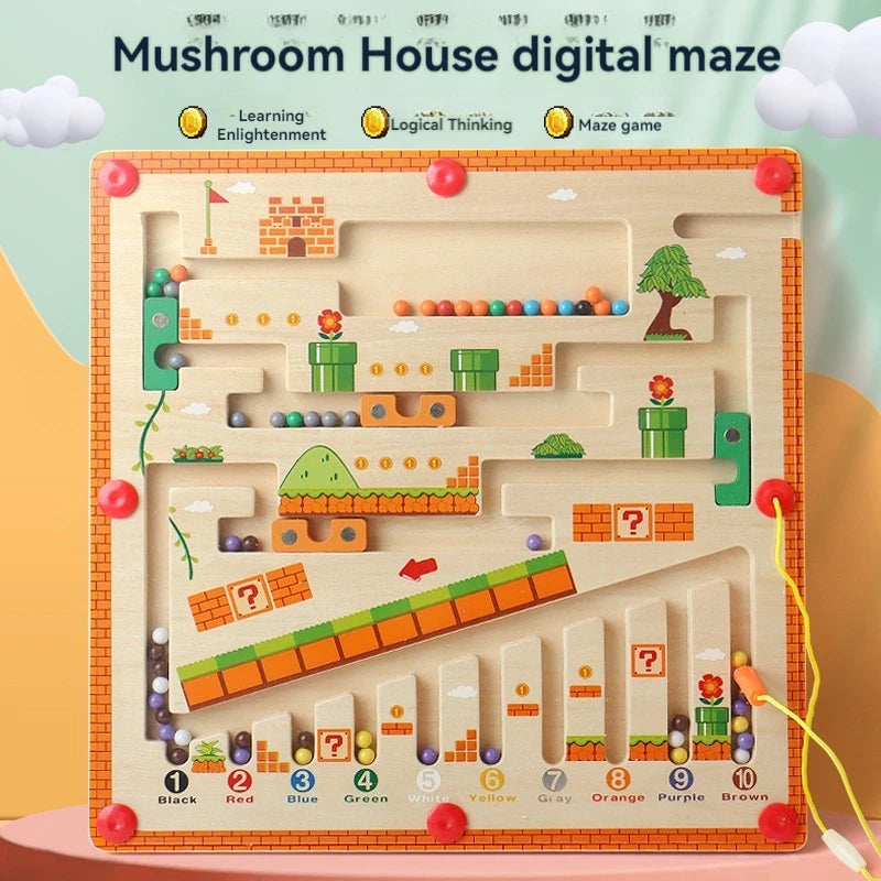 Magnetic Maze Learning Board